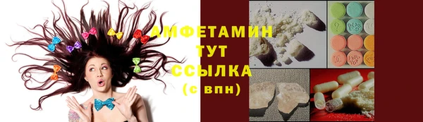гашик Белокуриха