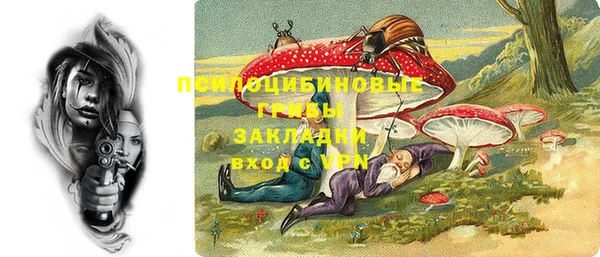 гашик Белокуриха