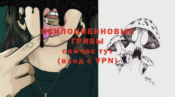 spice Беломорск