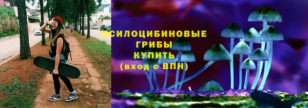 гашик Белокуриха