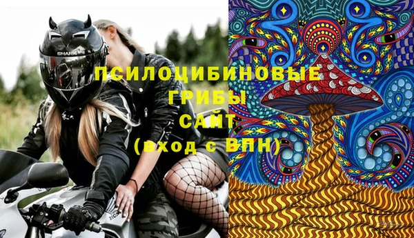 spice Беломорск