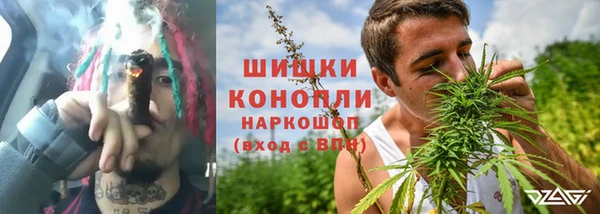 гашик Белокуриха