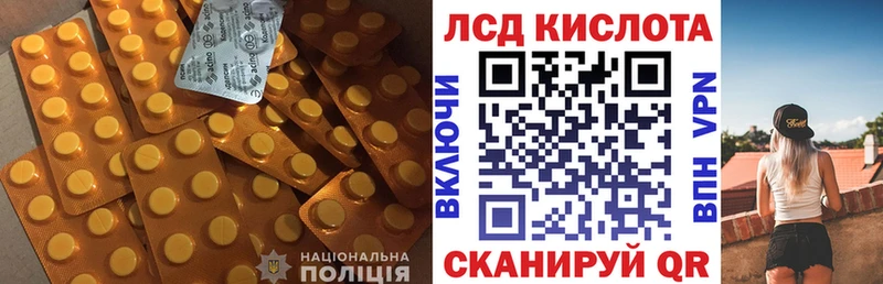 Купить где  Дигора  LSD-25 экстази ecstasy 