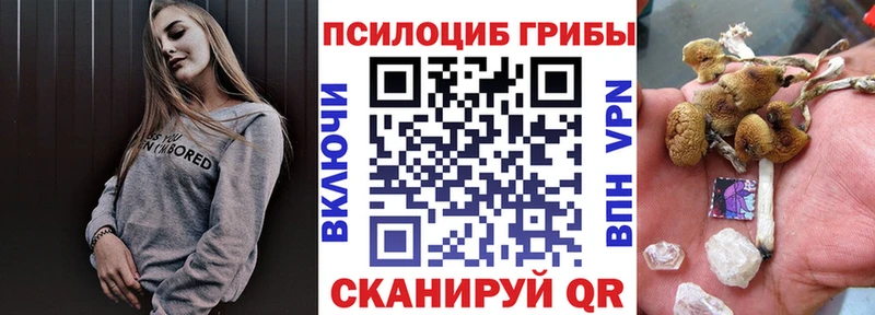 Галлюциногенные грибы Psilocybe  Купить закладки  Дигора 