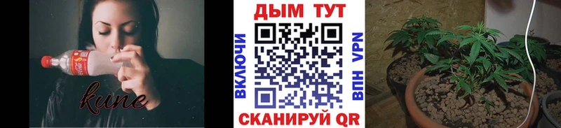 Купить где  Дигора  Марихуана VHQ 